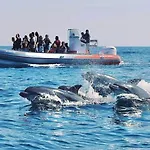 Prime Beachfront Living - Sea View, Large Balcony & Private Garage *