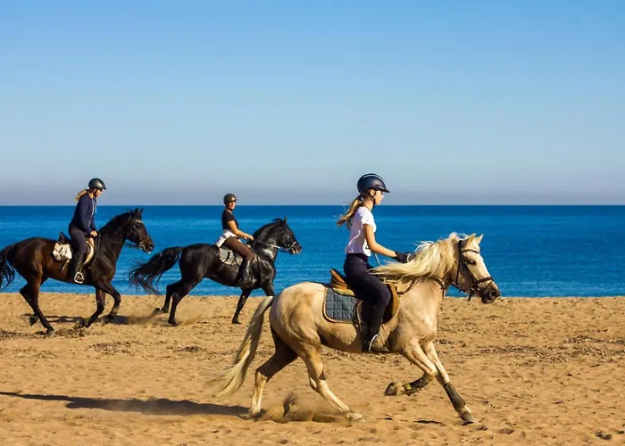 Prime Beachfront Living - Sea View, Large Balcony & Private Garage Apartment