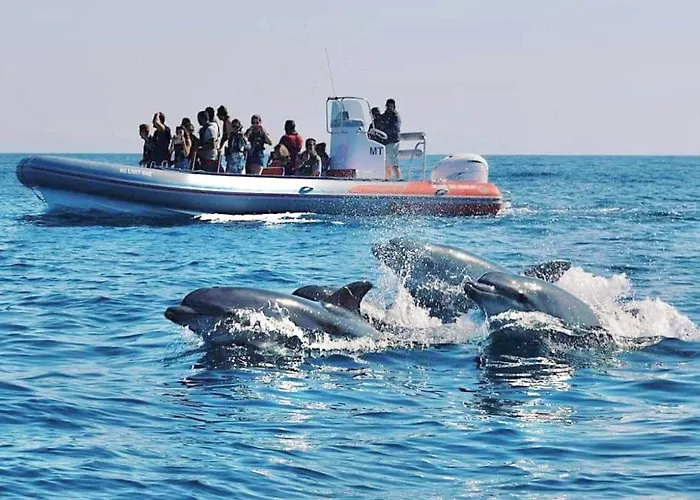 Prime Beachfront Living - Sea View, Large Balcony & Private Garage *