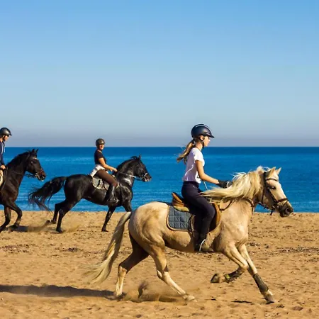 Lovely Beachfront With Aircon/wifi דירה